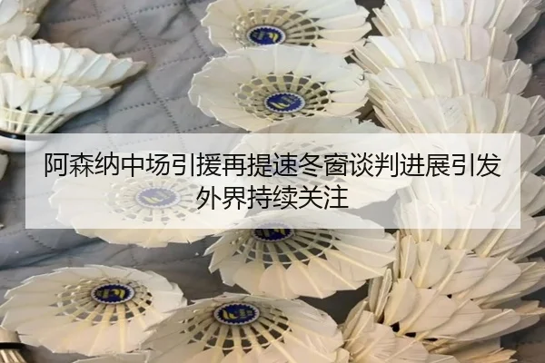 阿森纳中场引援再提速冬窗谈判进展引发外界持续关注